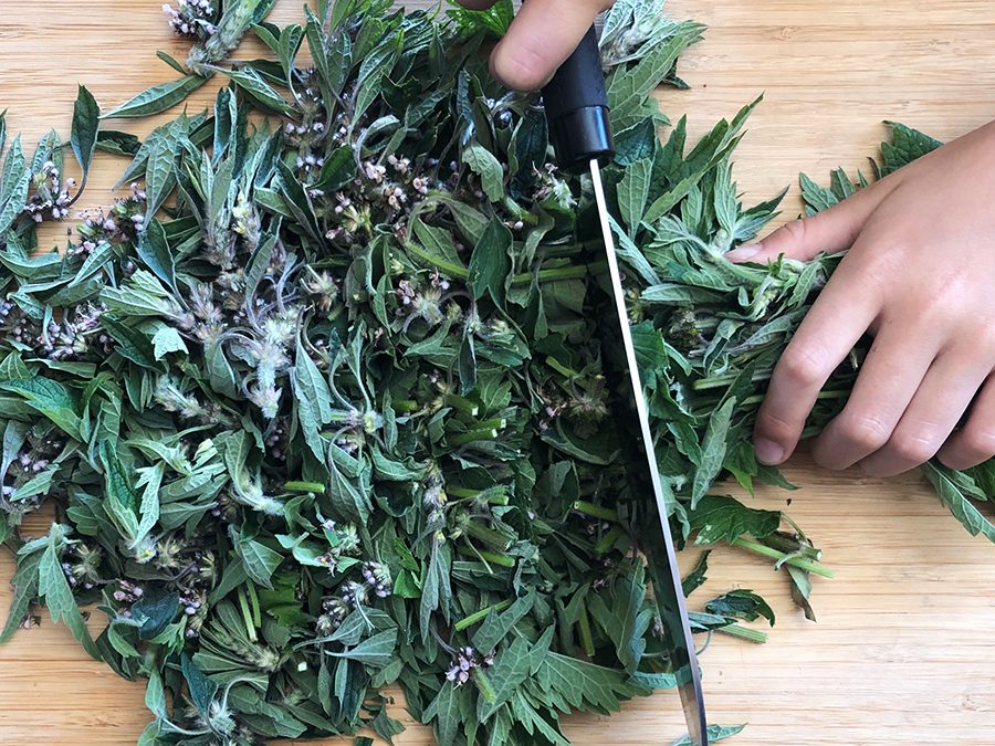 A person cutting some leaves on top of the table