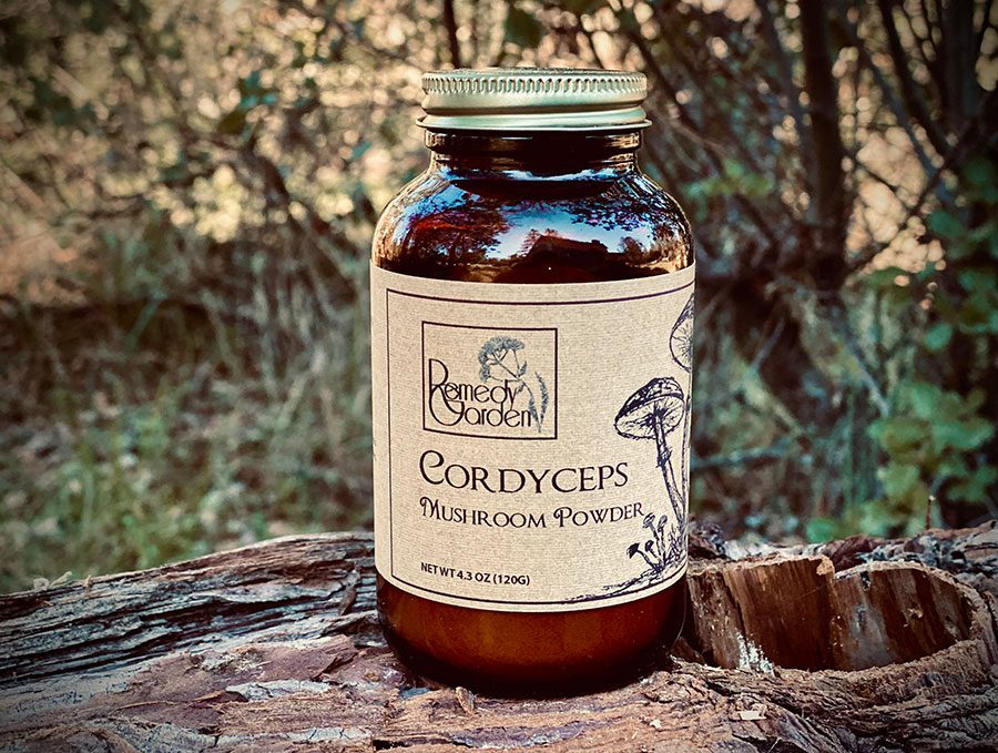 A bottle of cordyceps mushroom fuel sitting on top of a tree stump.