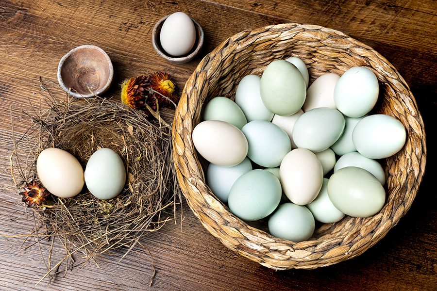 A basket of eggs and two birds in nests.