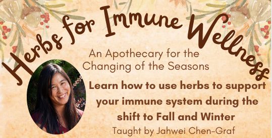A woman is holding an herbal medicine for immune system.