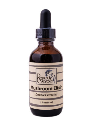 Mushroom Elixir