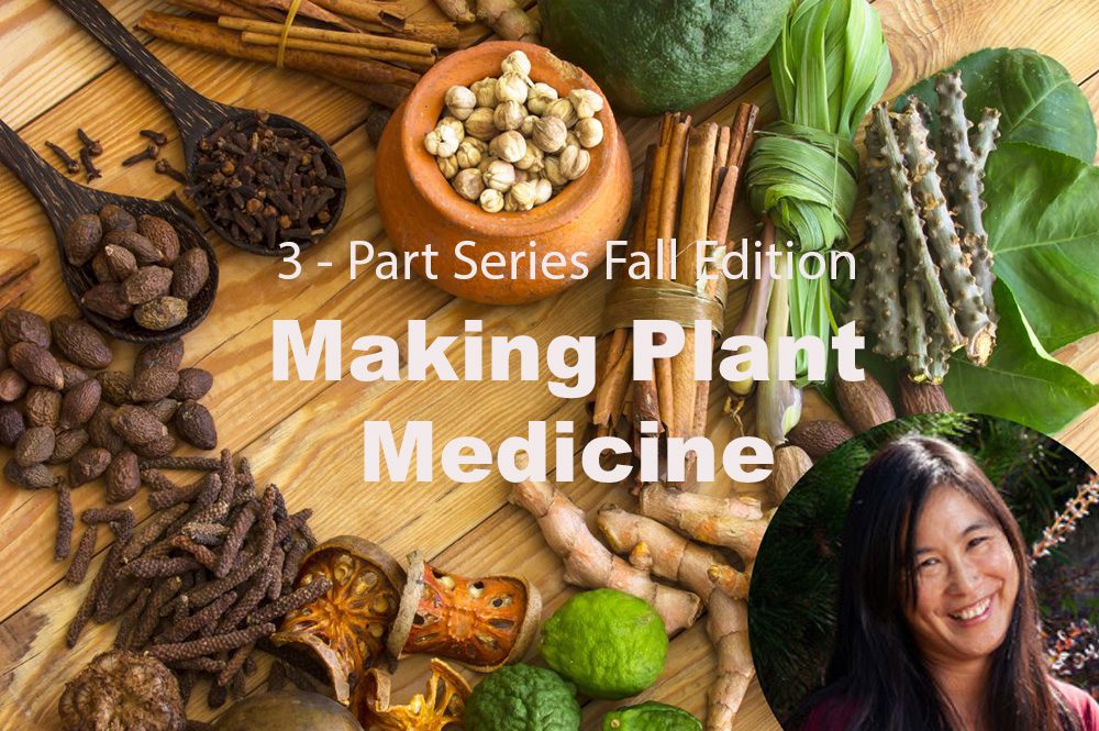 Making-plant-Medicine-Banner