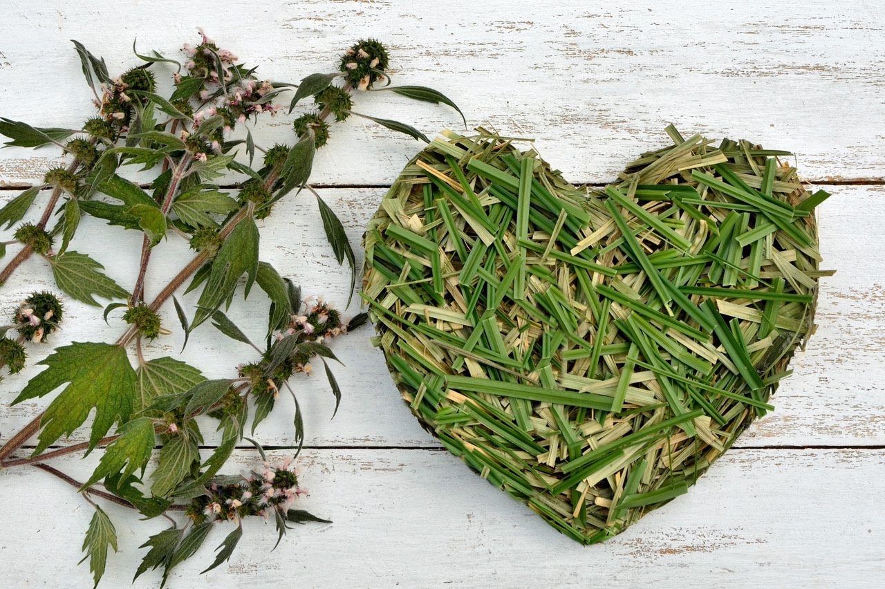 Motherwort-Heart