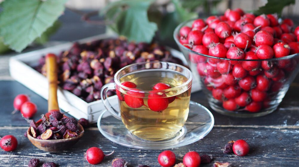 hawthorn berry tea