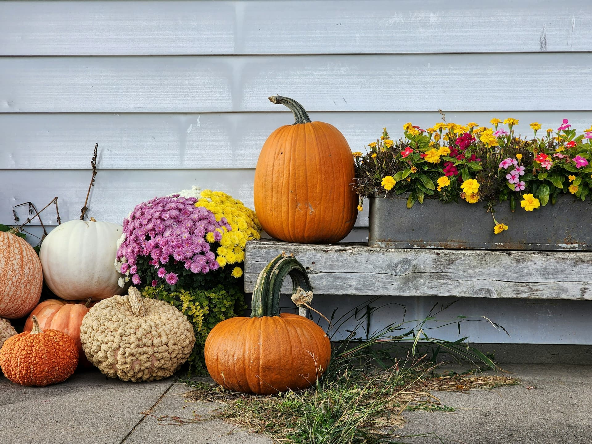 pumpkins and flowers in front of a wooden barn